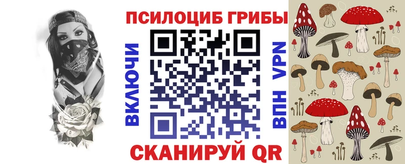 Псилоцибиновые грибы Psilocybine cubensis  Котлас 