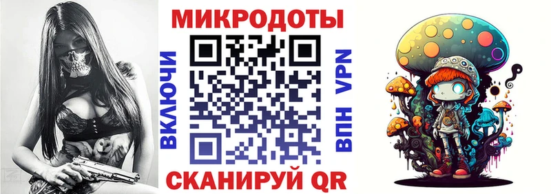 Псилоцибиновые грибы Psilocybine cubensis Котлас
